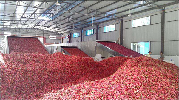 辣椒烘干機(jī).jpg